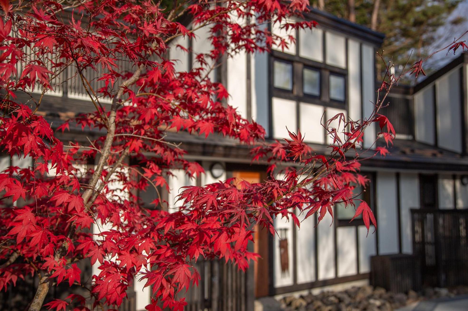 Glamping Villa Hanz Kawaguchiko Fujikawaguchiko Exterior foto